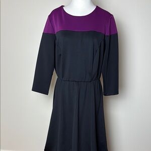 Spruce & Sage Black and Fuchia Elastic Waist Full Skirt 3/4 Sleeve Dress Size 1X